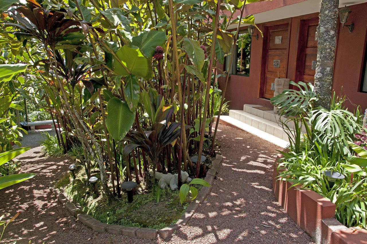 Bed and Breakfast La Boruca San Isidro  Exterior foto